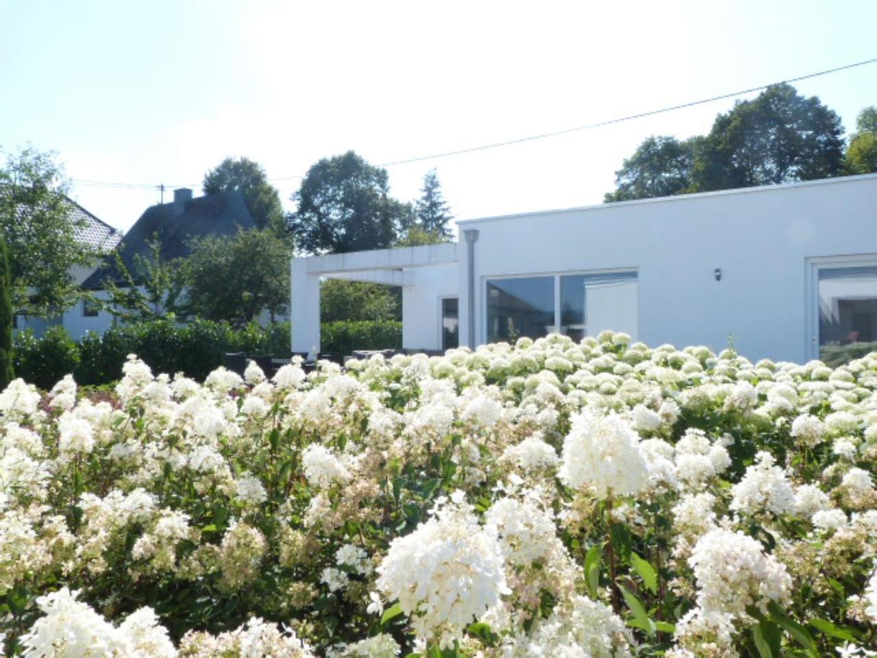 Villa Mosel Morbach Eksteriør billede