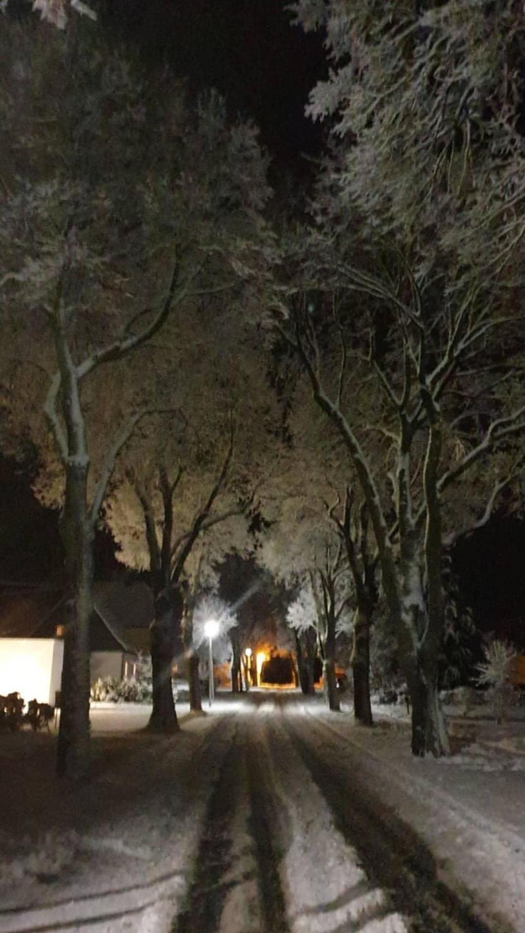 Villa Mosel Morbach Eksteriør billede